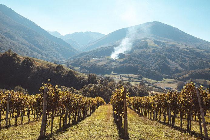 Un cadre bucolique au pied des montagnes basques