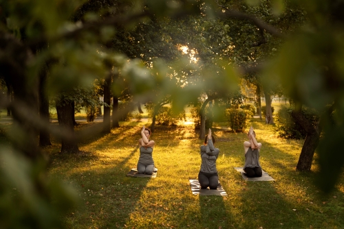 Cours de Yoga